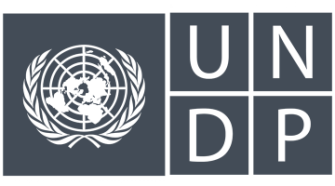 UNDP.png